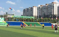 阙家九義校